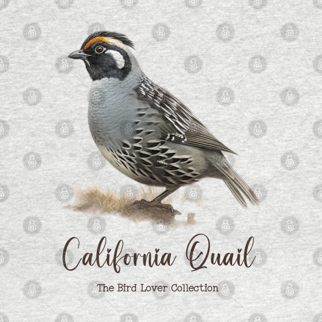 California Quail - The Bird Lover Collection by goodoldvintage